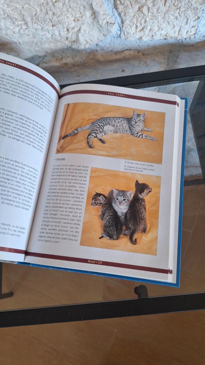 Livre Le grand guide des chats - photo numéro 2