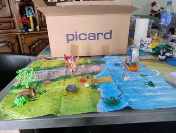 Playmobil fée 9230