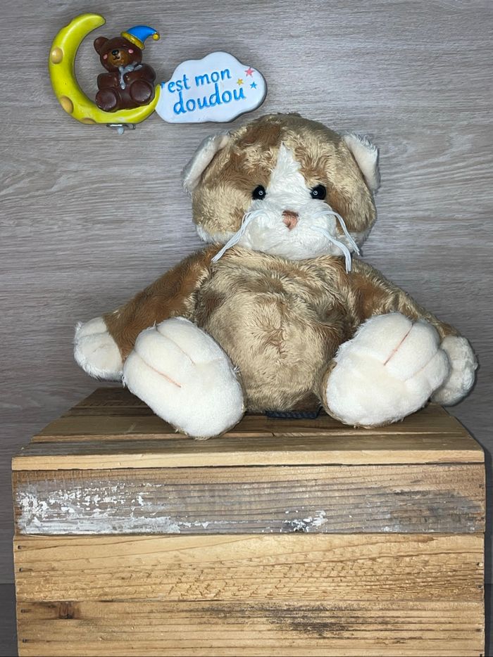 TRU21 doudou chat 🐱 Trudi