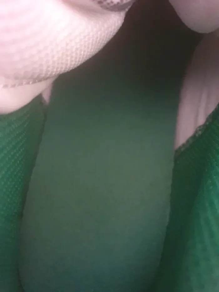 Nike Jordan 1 Mid "Pine Green"/neuves/(34) - photo numéro 5