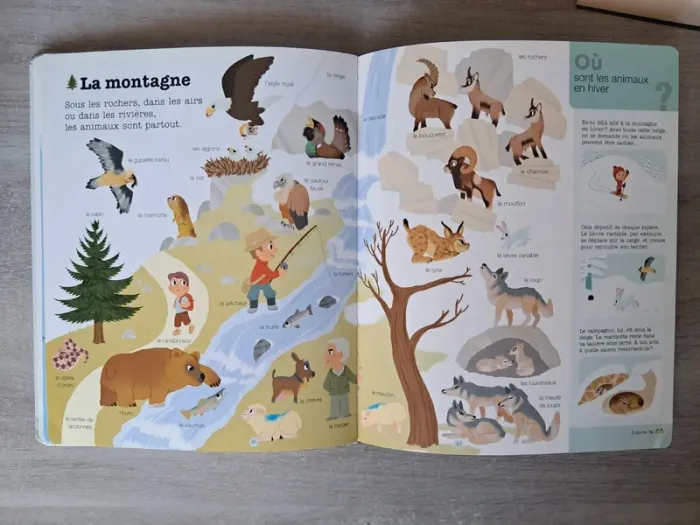 Livre les animaux mes années pourquoi - photo numéro 5