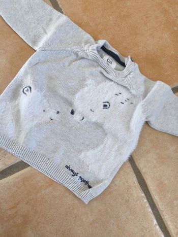 Pull ours polaire