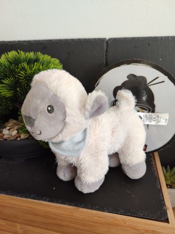 Doudou Mouton Blanc Bandana Vert tex baby gris turquoise bleu Peluche DD003465