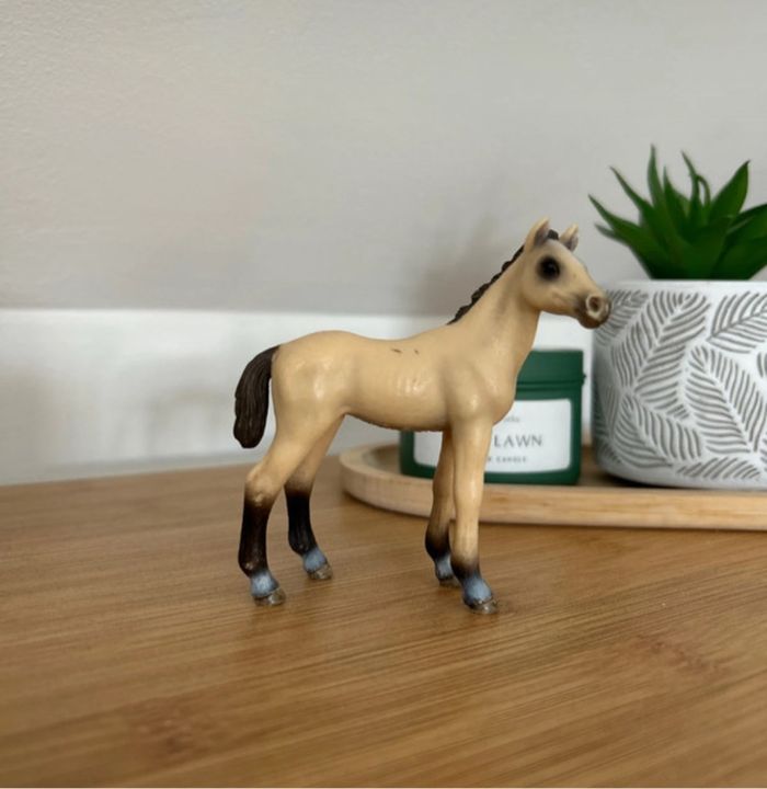 Figurine Schleich - Poulain Akhal Téké