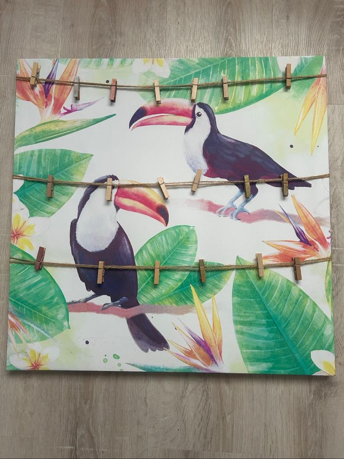 Pêle-mêle tropical toucan