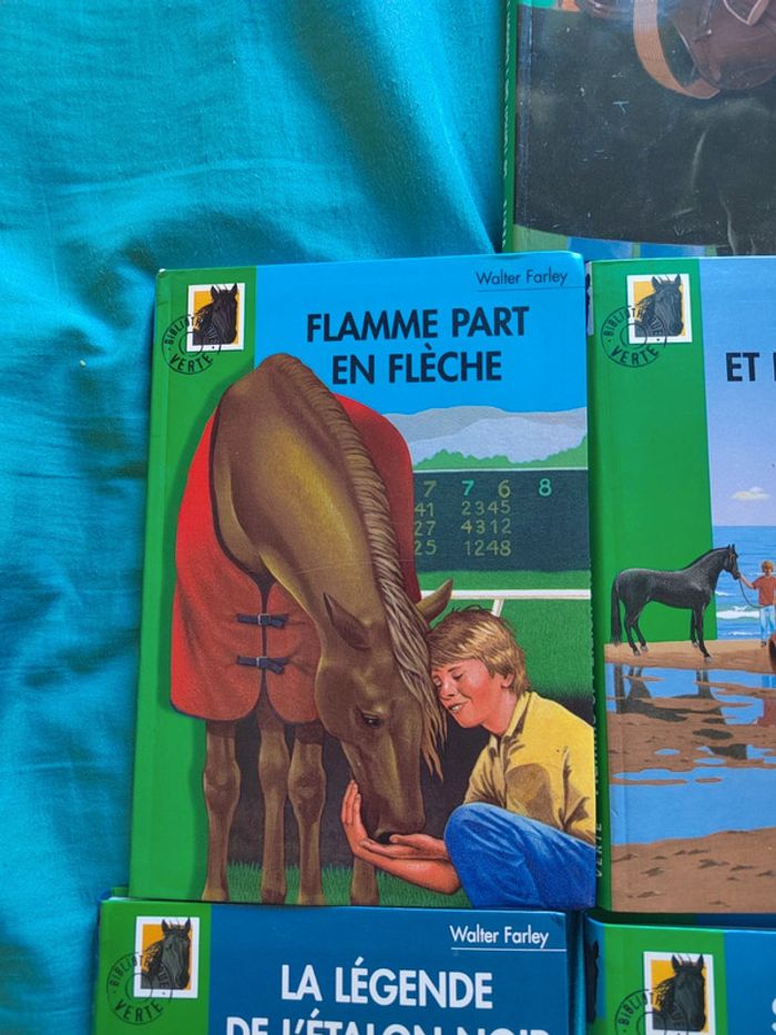 Lot de 7 livres l'étalon noir - photo numéro 3