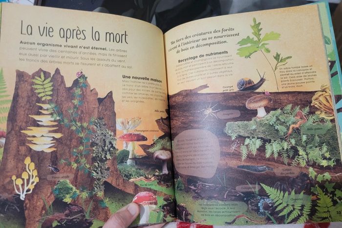 Livres "arbres : secrets et mystères insoupçonnés" - photo numéro 4