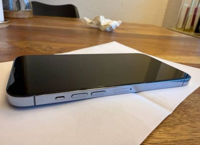 iPhone 13 pro max - photo numéro 3