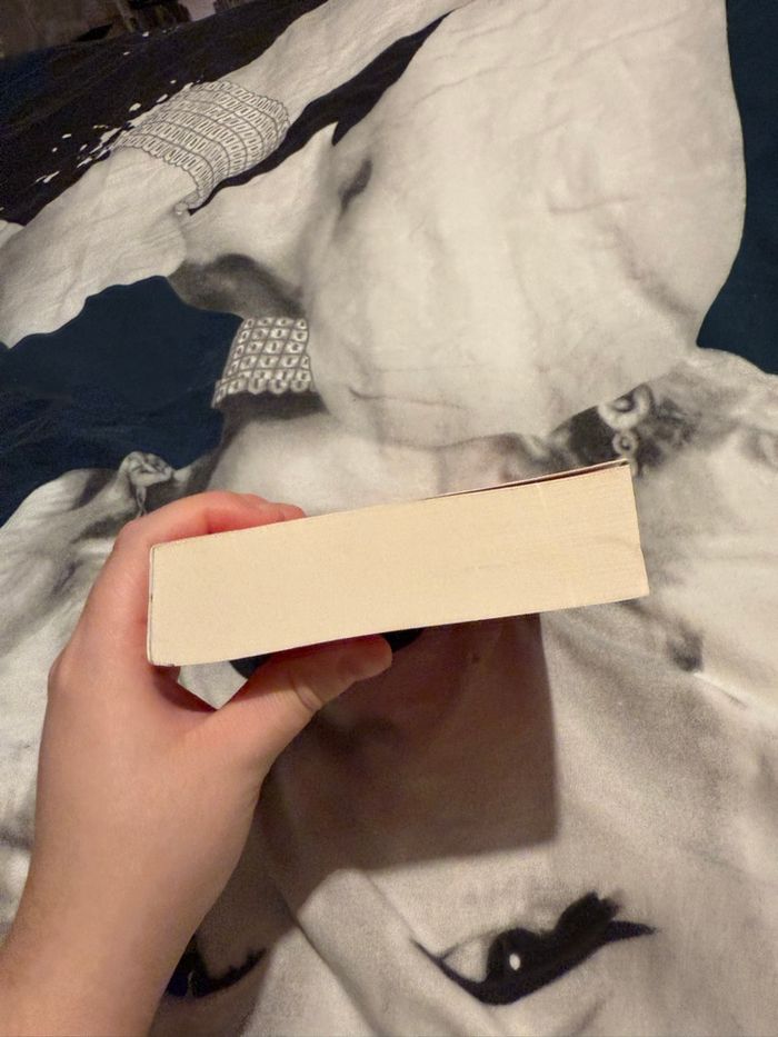 Fake lovers - Melodie Chavin & Camille Simon - photo numéro 6