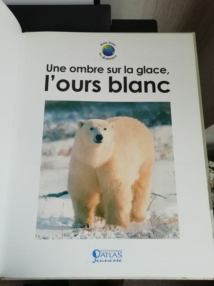 lot 3 Atlas junior des animaux dinosaures,rapaces,ours blanc - photo numéro 7