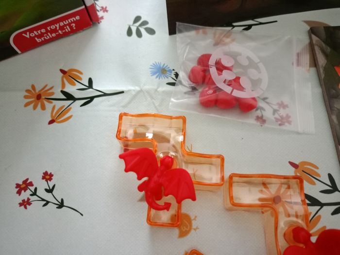 Jeu les dragons 100 flammes - photo numéro 5