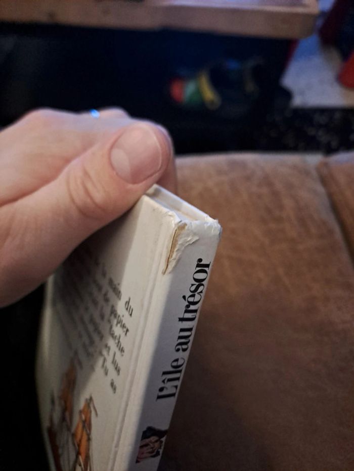 Livre L'île au Trésor, R.L Stevenson - photo numéro 3