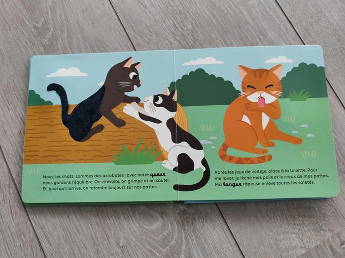 Le chat - photo numéro 2