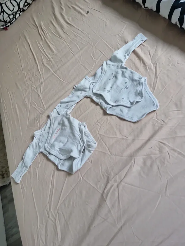 Bodies