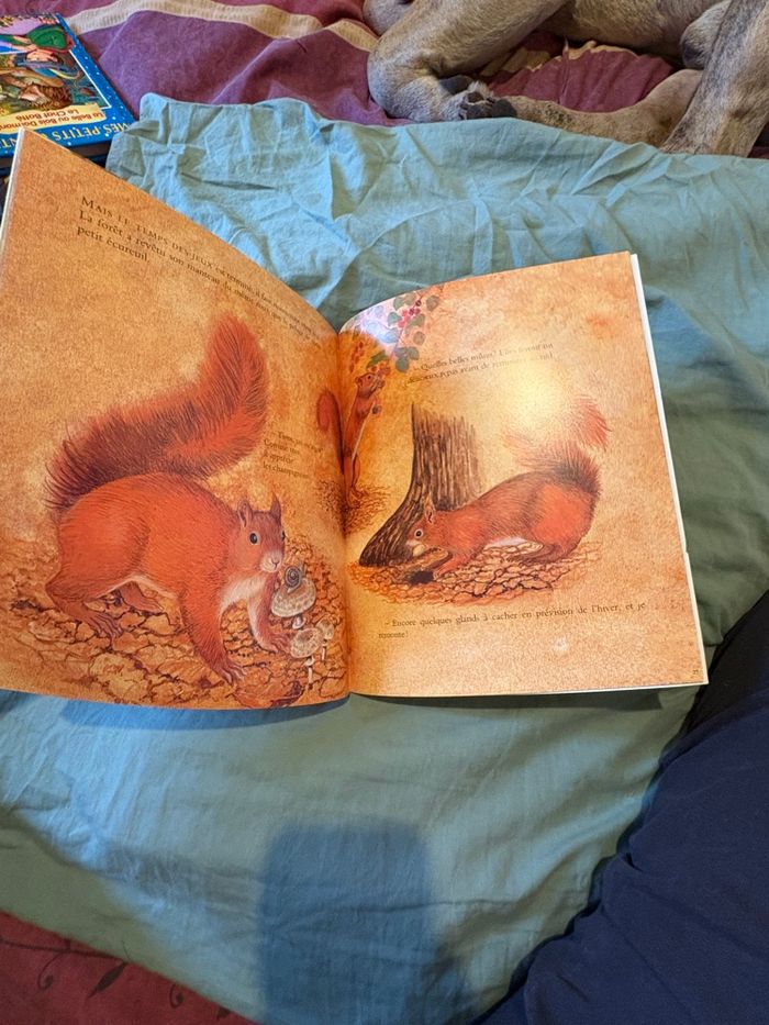 La tête en l’air - photo numéro 2