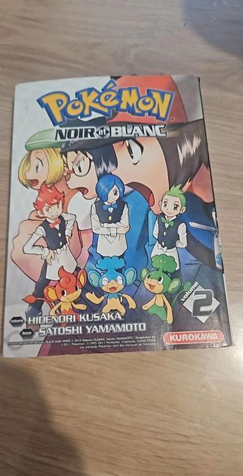 Pokemon noir et blanc tome 2