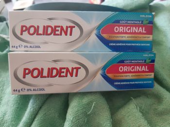 Polident 