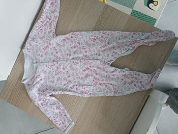 Pyjama rose