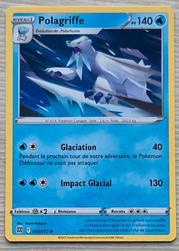 Polagriffe Stars Étincelantes