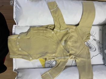 Body