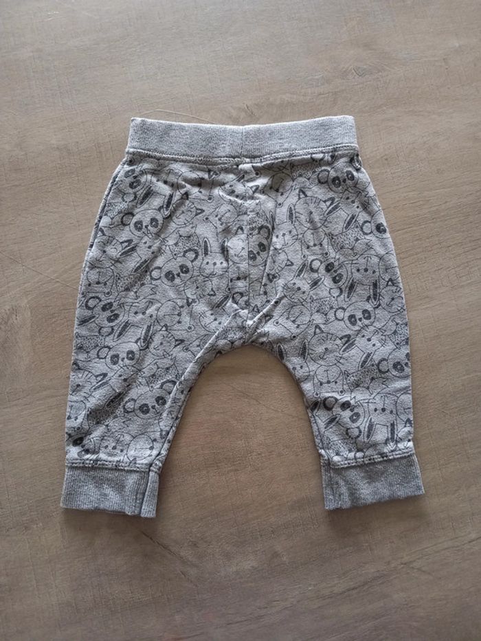 Ensemble - photo numéro 10