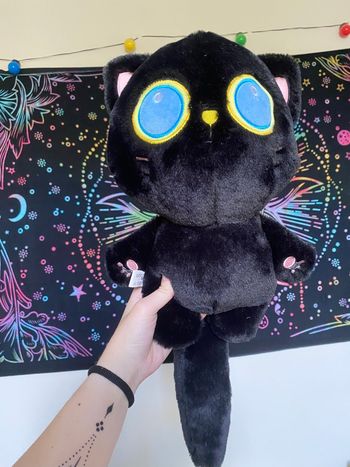Peluche chat noir
