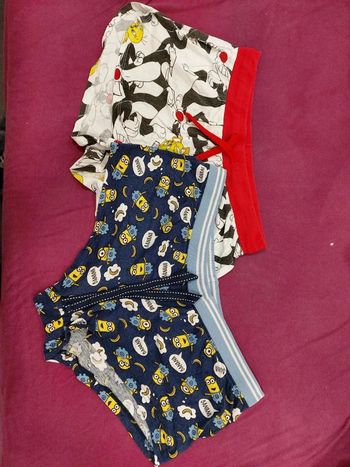 Shorts mignon et titi et gros minet