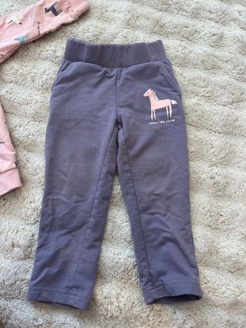 Ensemble licorne