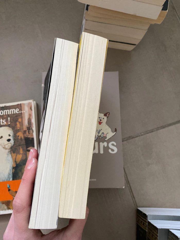 Vend 2 livres de John Green - photo numéro 4