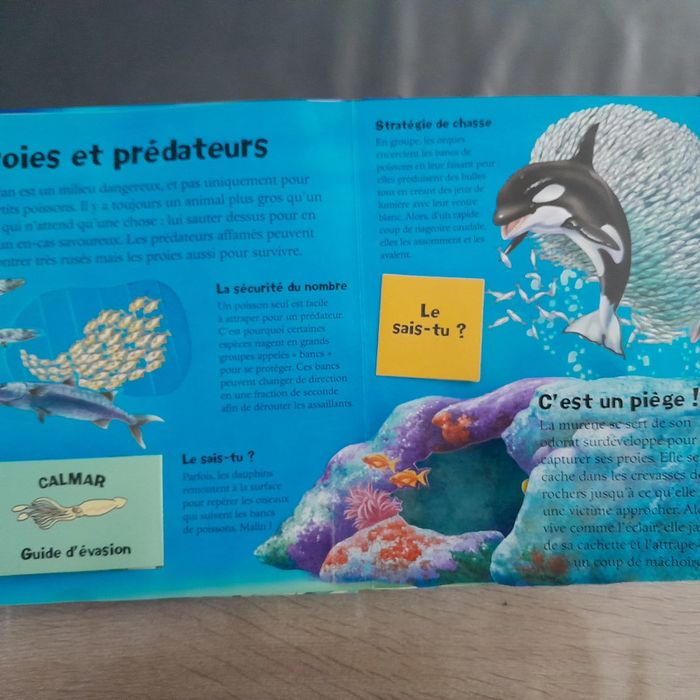 magnifique livre pop up Etranges océans - photo numéro 5