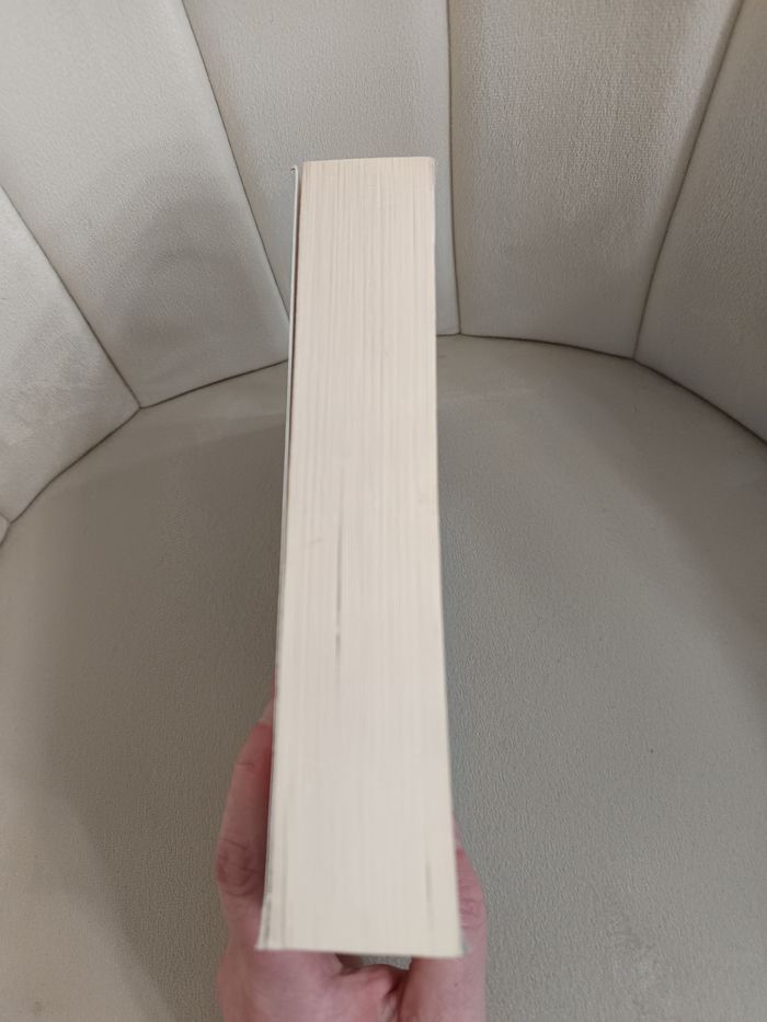 " Les Insoumis " Tome 1 - photo numéro 5