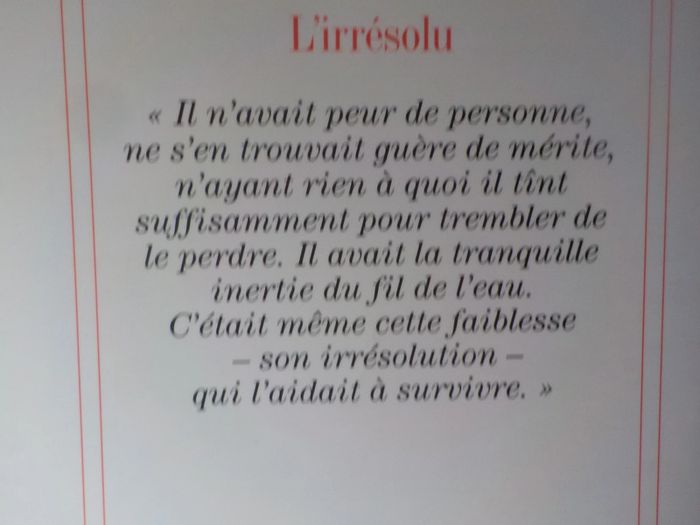 L'irrésolu de Patrick Poivre d'Arvor Ed. Albin Michel - photo numéro 2