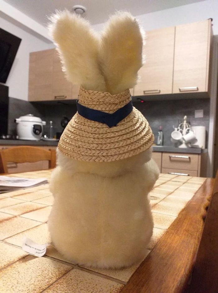 Peluche lapin et son chapeau - photo numéro 4