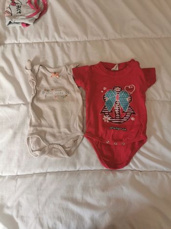 Boddies manche courte