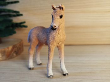 Schleich pouliche beige figurine animal équipé