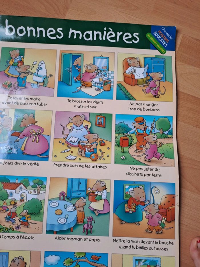 Lot de 3 posters plastifiés pour l'apprentissage #chantecler - photo numéro 6