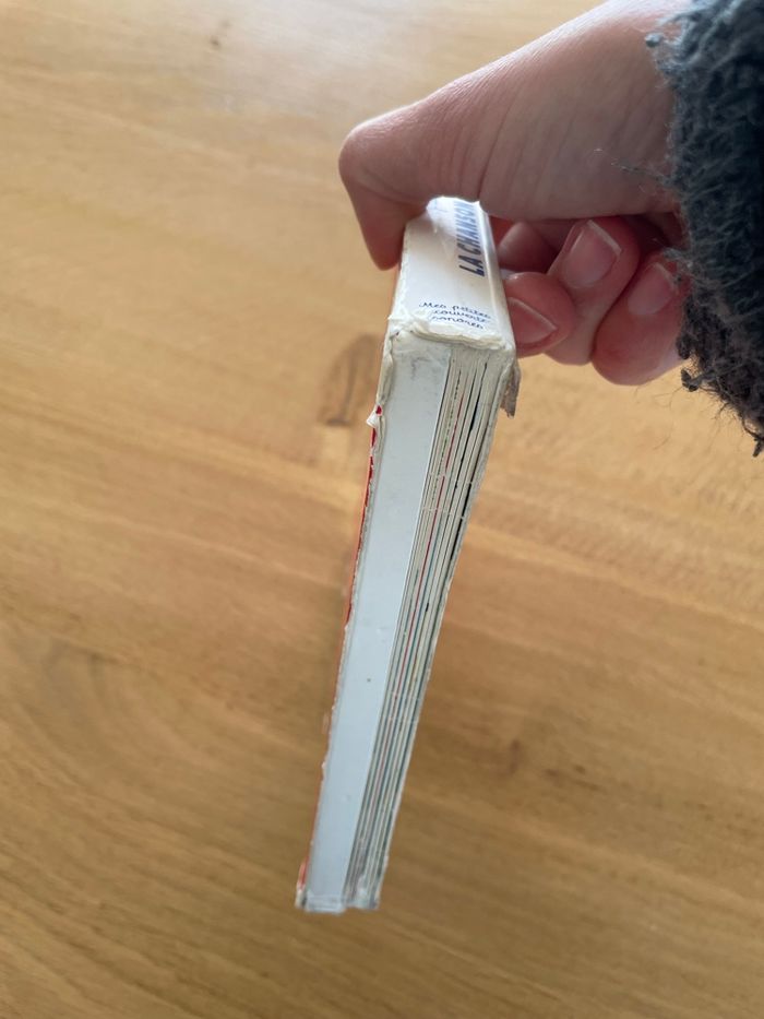 Livre musical à puces la chanson française - photo numéro 10