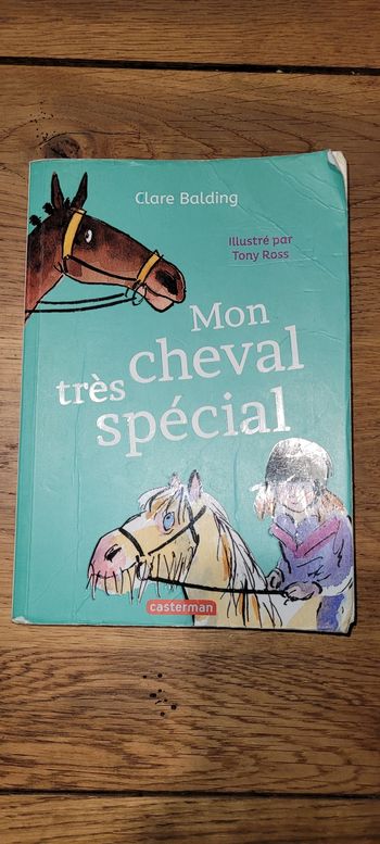 Mon cheval très spécial 