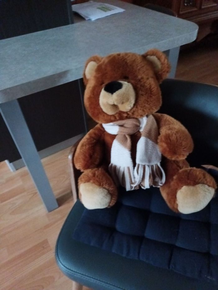 Ours en peluche