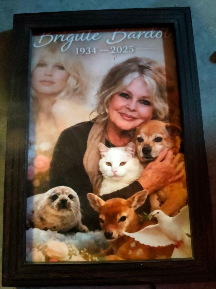 Cadre photo Brigitte bardot