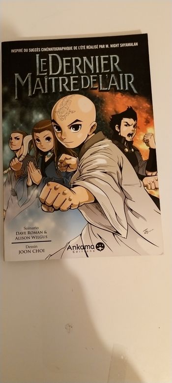 Le dernier maître de l air