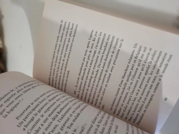 Livre "Aveuglé" de Stona Fitch - photo numéro 5