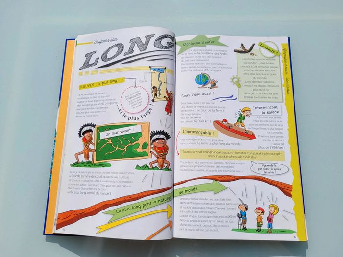 Grand livre Le Larousse des Records, couverture mousse - photo numéro 7