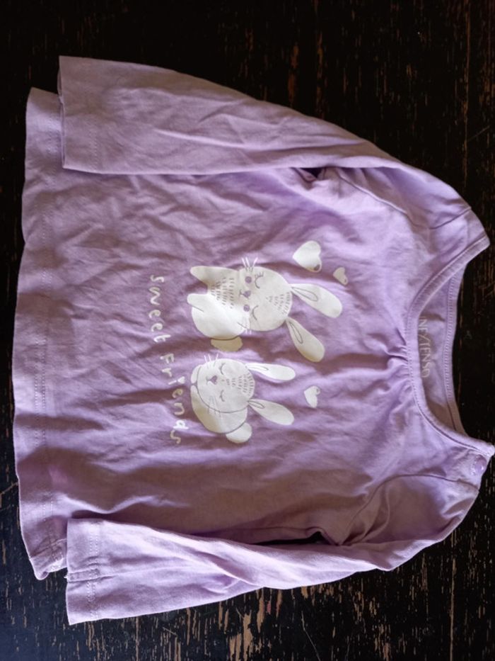 Tee-shirt ML Lapin vio 9 mois - photo numéro 3