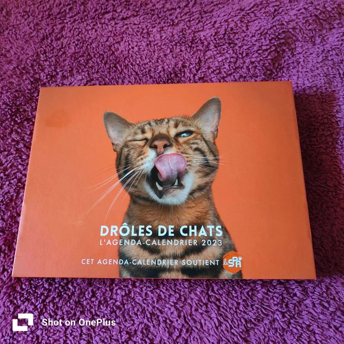 Drôles de chats agenda-calendrier 2023
