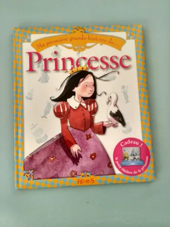 Ma première grande histoire de Princesse