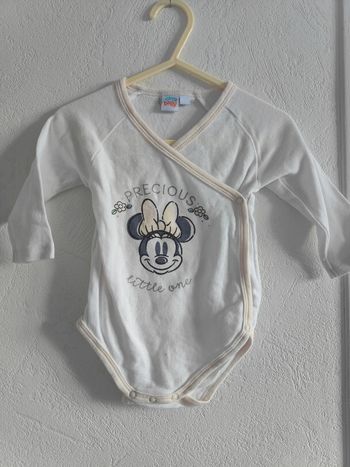 Bodies Minnie