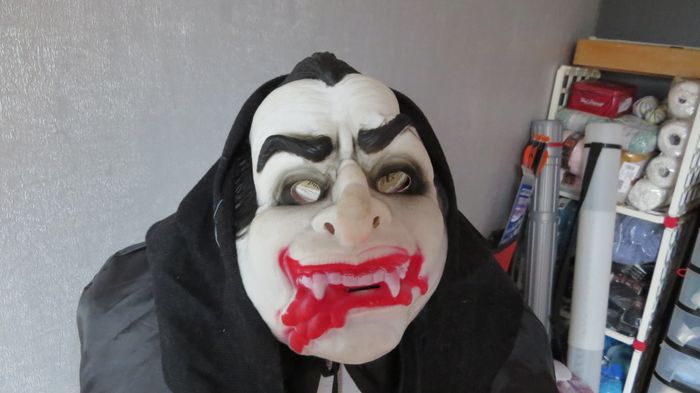 déguisement - photo numéro 2