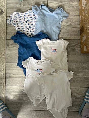 Lot de 6 bodies manches courtes