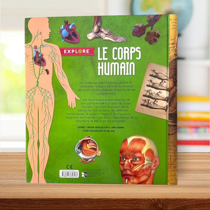 Livre éducatif illustré grand format + poster géant - Le corps humain - photo numéro 2